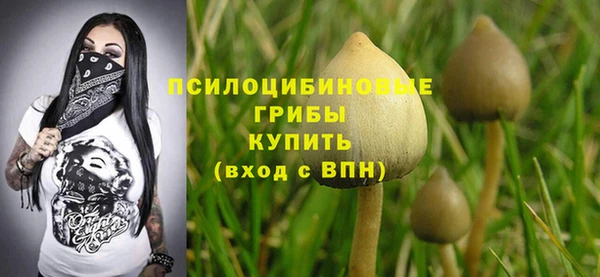 винт Зеленодольск